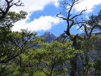 Albums/20060200-New Zealand 2006/20060204-Arthurs_Pass/8
